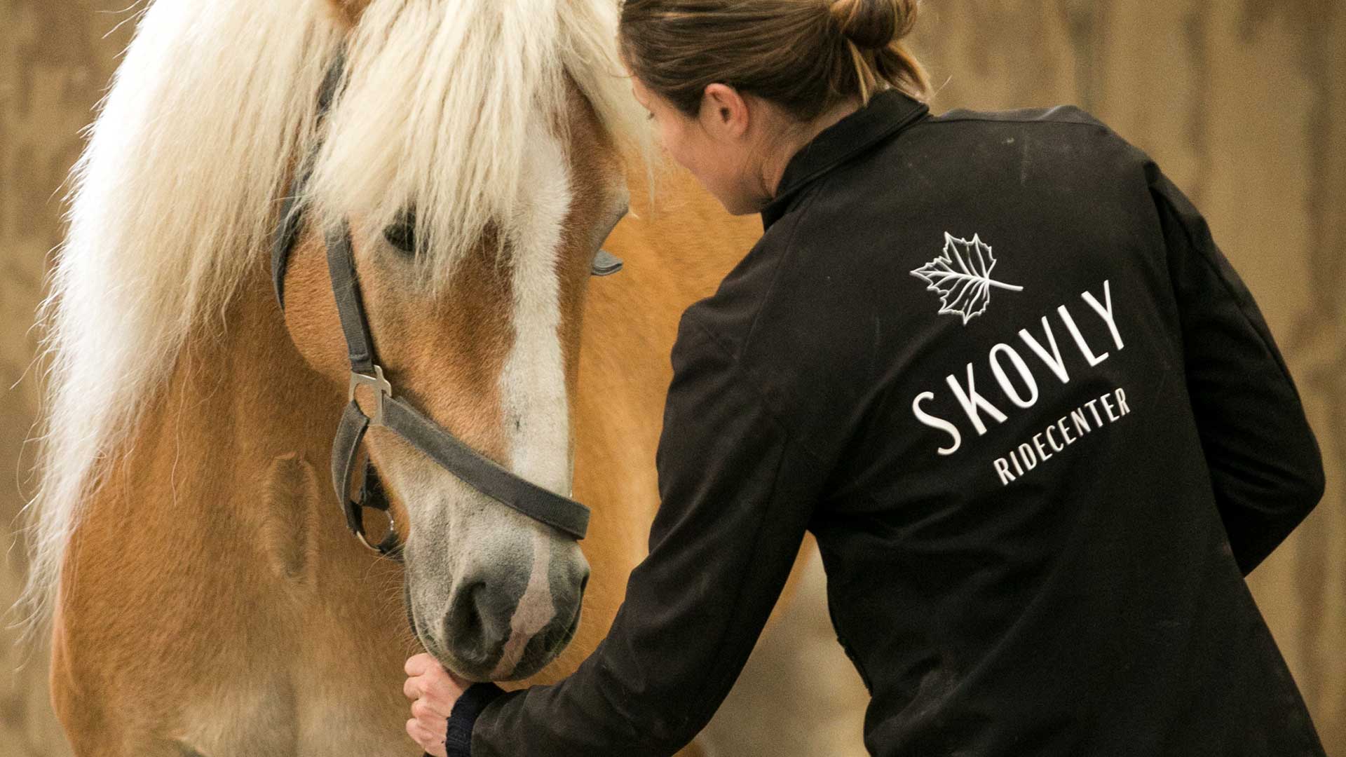 Vil du bo på Skovly Ridecenter og være en del af vores team?